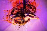 WallDanceCouleurs 65 * 5616 x 3744 * (11.41MB)